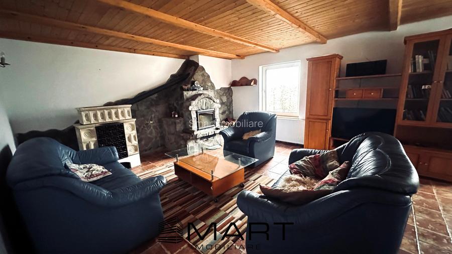 Casa de vacanta cu teren 2000mp Valea Avrigului - 5