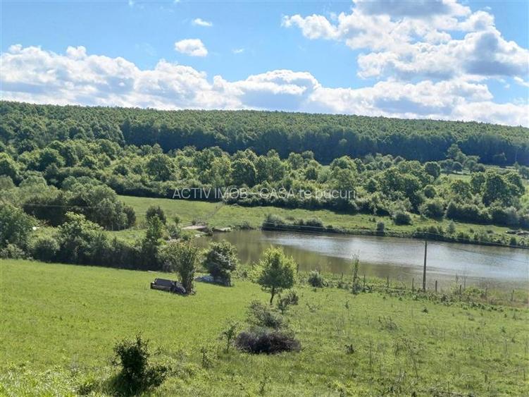 teren 550 mp de vanzare in Tocile - 2
