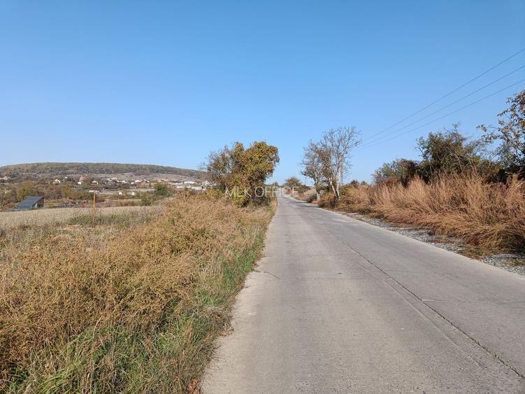 Teren extravilan 5,671mp Cluj-Napoca / Strada Lombului - 2