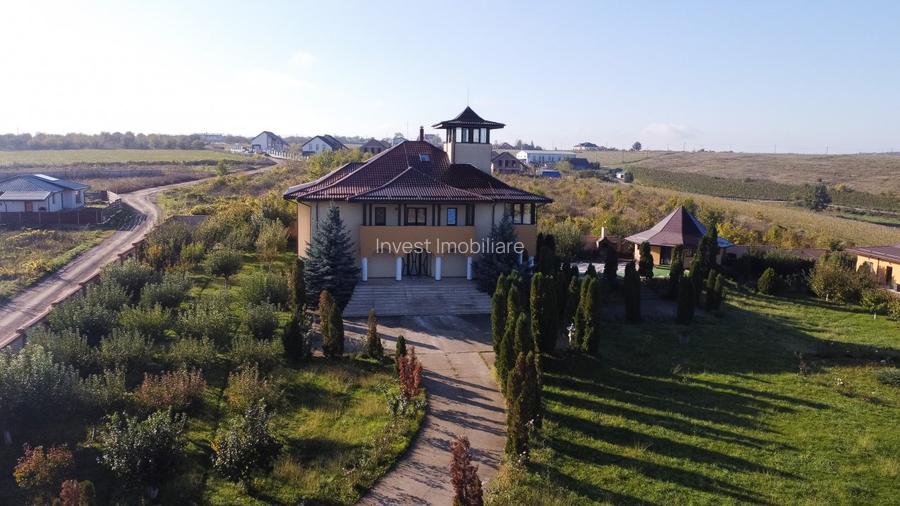 Proprietate Unica de Vanzare in Visani, Iasi – Resedinta si Investitie Turistica - 2