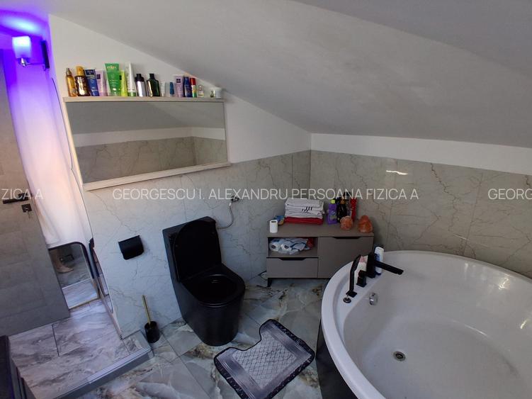 Parc Carol 3 Camere Mansarda - 11