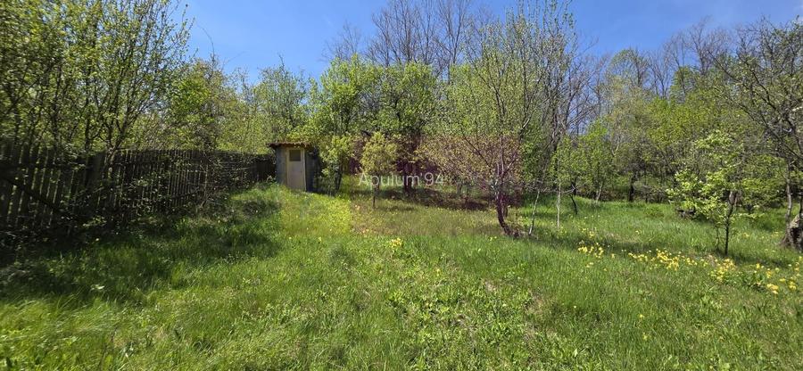 Teren cu Casuta de lemn in Sotrile (langă Valea Doftanei) - 11