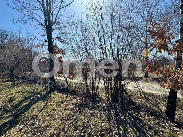 Teren intravilan | Berința | 5800 mp - 7