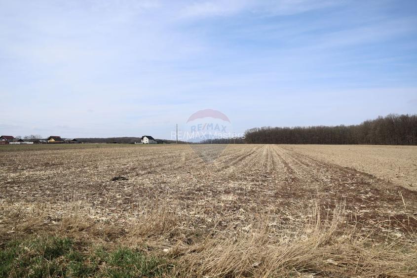 Teren 9,740mp Suceava / Strada Principala - 6