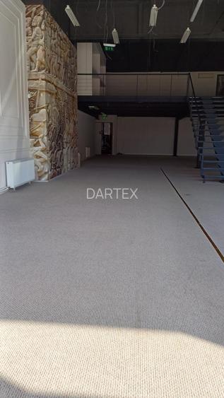 Spatiu de inchiriat SAD autorizat ISU - zona C.Sagului - 4