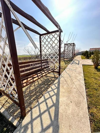 Domeniul de langa Fetesti, Maltezi, ideal pentru evenimente - 19