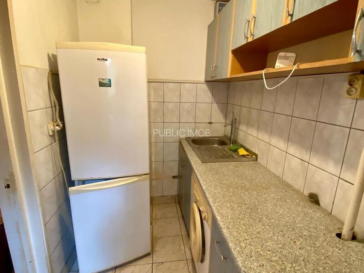 Lacul Tei, langa Facultatea de Constructii - 4