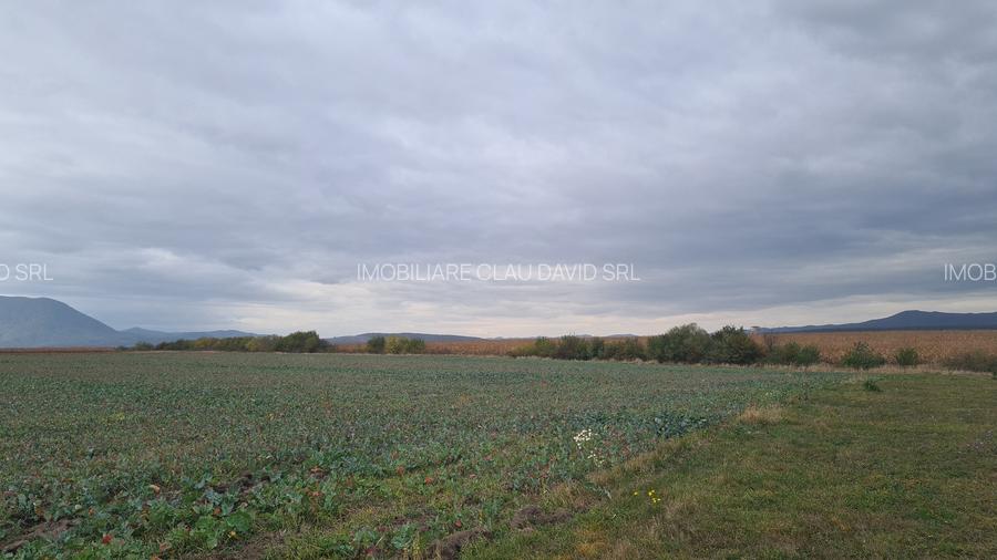 Oază de Natură și Potențial: Teren de 48.100 mp lângă Delta din Carpați - 7