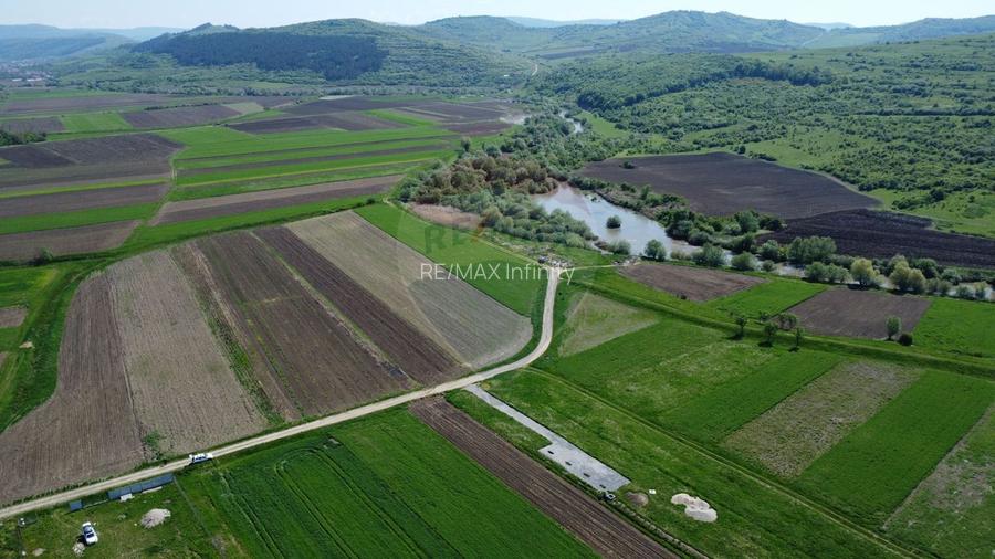 Teren de vanzare 8.700 mp în Livada comuna Iclod - 4