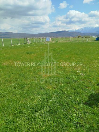 Grădină 862 mp cu cabanuta și pomi fructiferi – între Tălmaciu și Sadu - 3