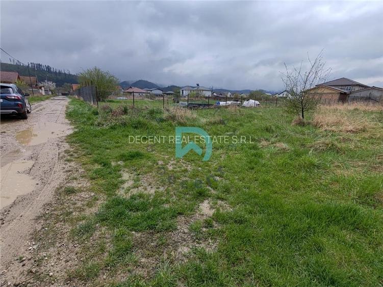 Vanzare teren Cristian - 6