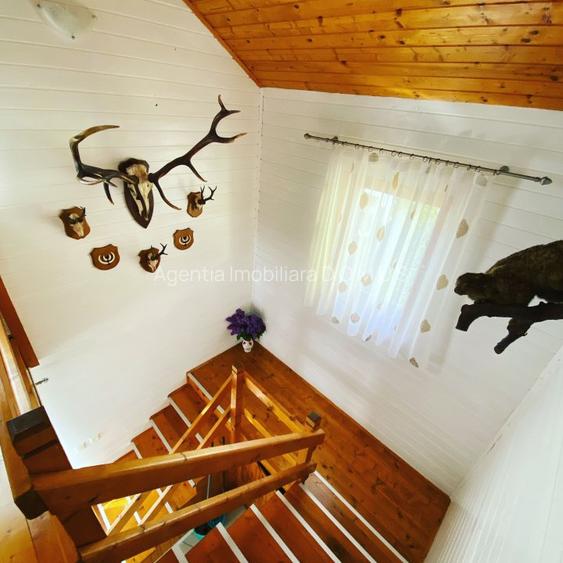 Pensiune in Delta Dunarii, afacere - 6