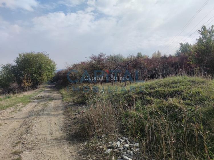 Teren extravilan 2000mp, front 50m, priveliste superba, Feleacu,  Wonderland - 4