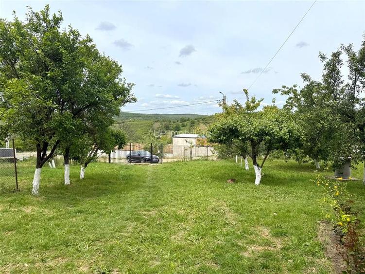 CASA CU TEREN 800 MP | ZONA  DEALURI | STRADA SOFIEI | ORADEA - 22