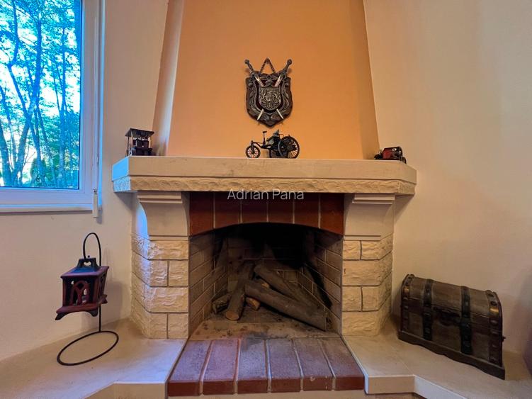 Vila de vanzare langa PITESTI; 3 dormitoare, 2 bai ; complet mobilata si utilata - 4