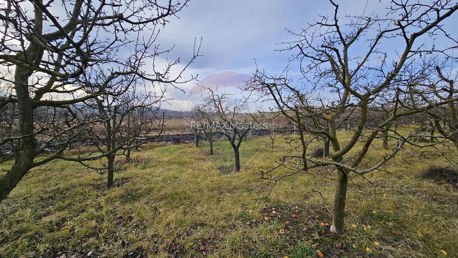 Teren extravilan 10,791mp Falticeni / Strada DJ209A, Opriseni - 15