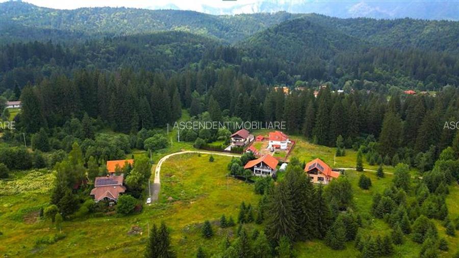 FILM!Resedinta cu farmec montan, domeniu de 1.700 mp,cadru select,Timisul de Sus - 41