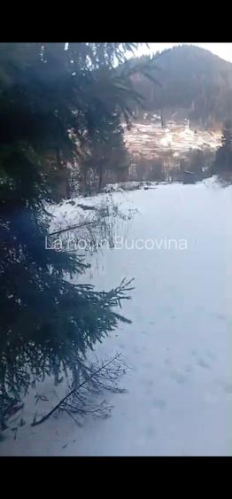 Vindem teren 8179 mp langa padure - 5