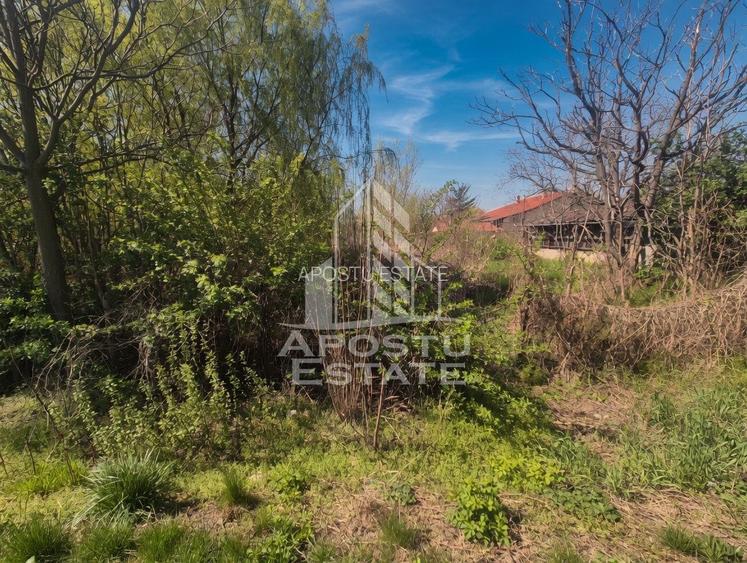 TEREN PE MALUL RÂULUI ARANCA SÂNNICOLAU MARE 0% COMISION CUMPĂRĂTOR - 4