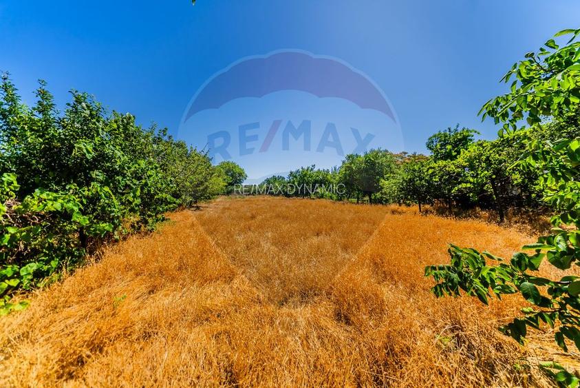 Casă cu 3 camere de vânzare în zona Gai, teren de 1249mp - 15