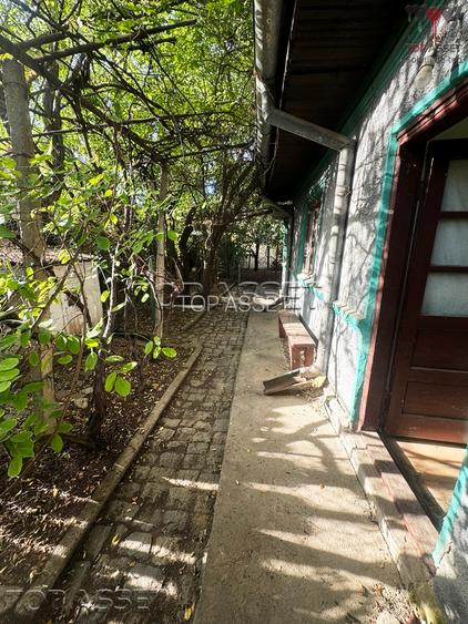 Pantelimon Central - 7