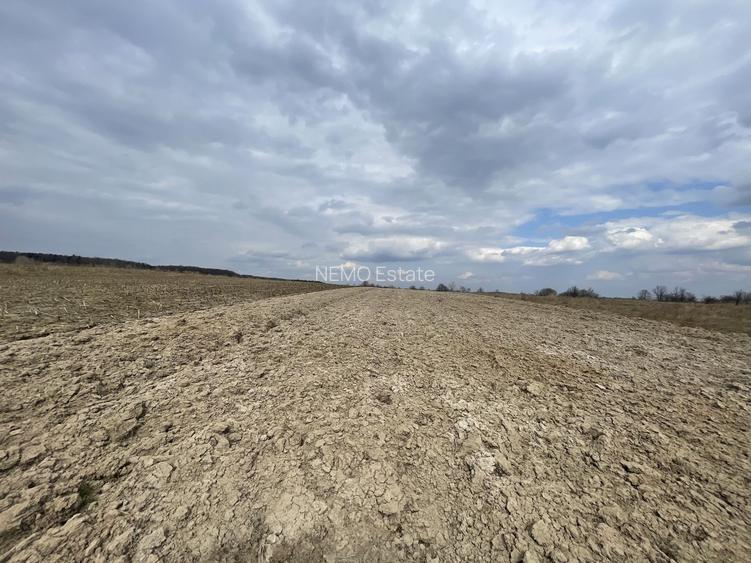 TEREN EXTRAVILAN | 23 ARI | HORODNIC DE SUS - 4