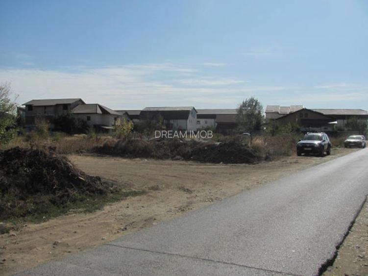 prelungirea Ghencea Iernii - 5