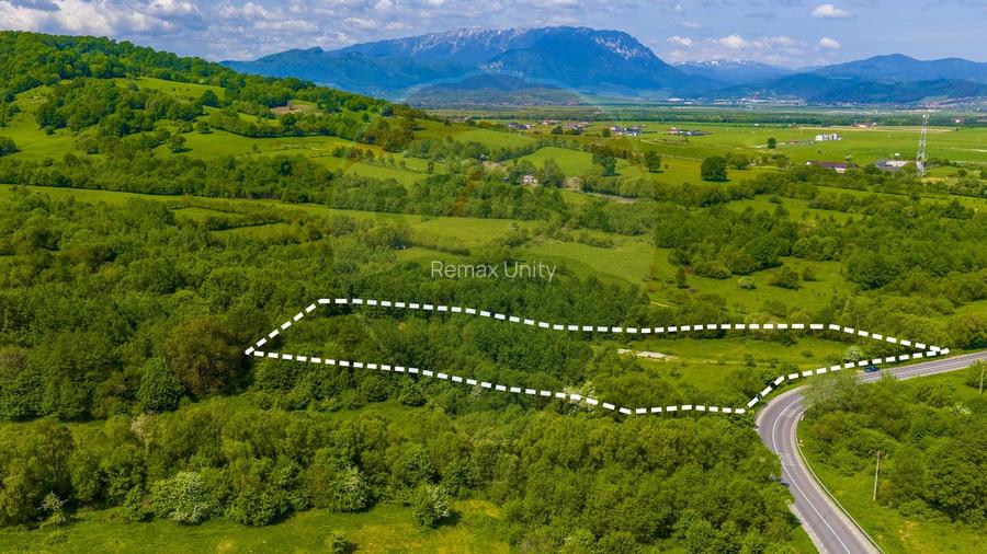 Teren 1ha Valea Glăjeriei - Rasnov | Comision 0% - 6