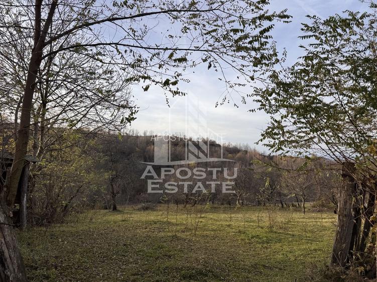 Casa batraneasca la munte, in Hunedoara, Tinutul Padurenilor, Cerbal - 13