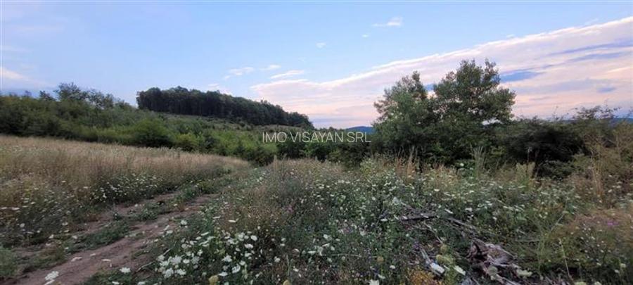 oportunitate teren zona agrement sau parc eolian,Sibiu - 3