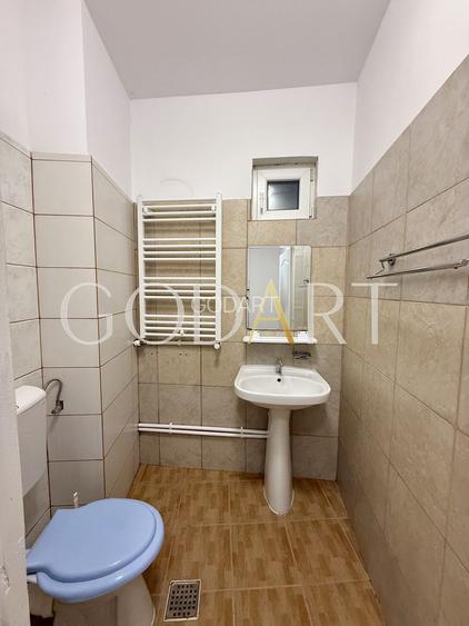 Oportunitate | Vila individuala | Curte | Tei - 23