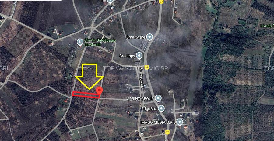 Teren intravilan, Saldabagiul de Munte - 6