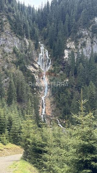 BORSA jud MARAMURES TEREN INTRAVILAN pentru CABANA - 7