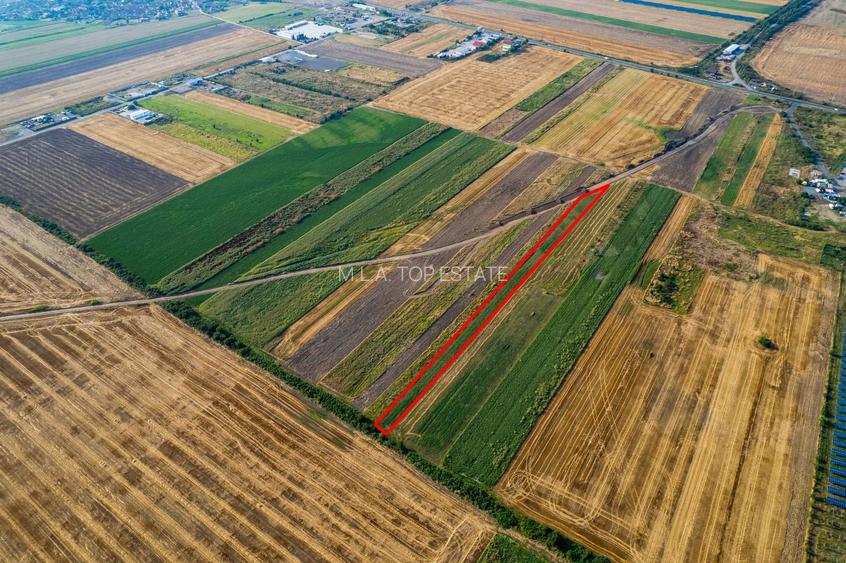 Teren 4.271 mp de vanzare  în Vladimirescu - 3