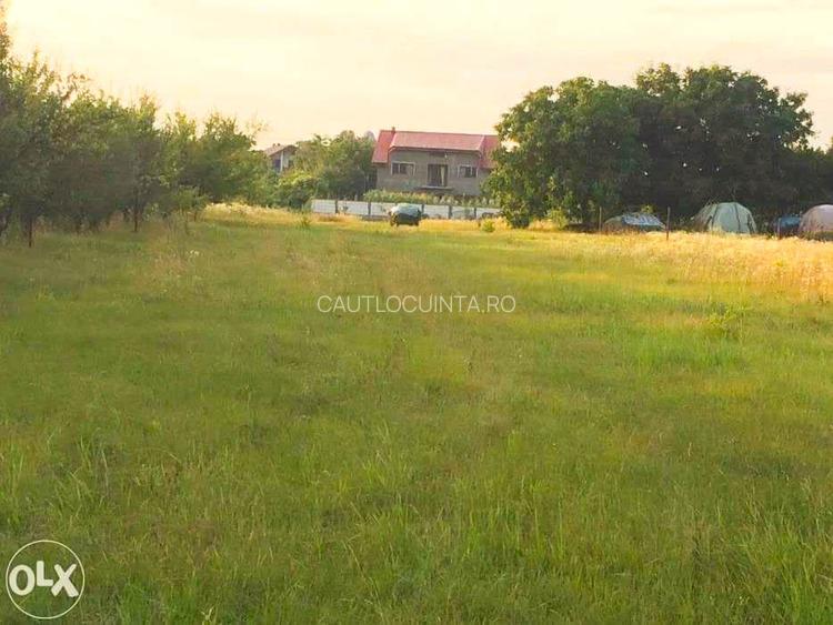 Teren intravilan de vanzare Ciofliceni | Ghermanesti | Snagov - 7