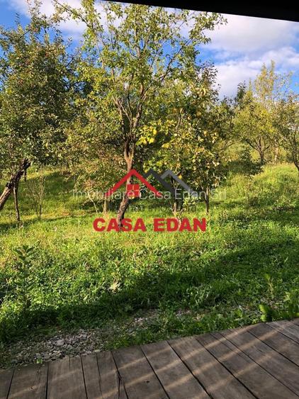 Teren extravilan in Brebu(Pietriceaua)--9104mp--50.000e - 7