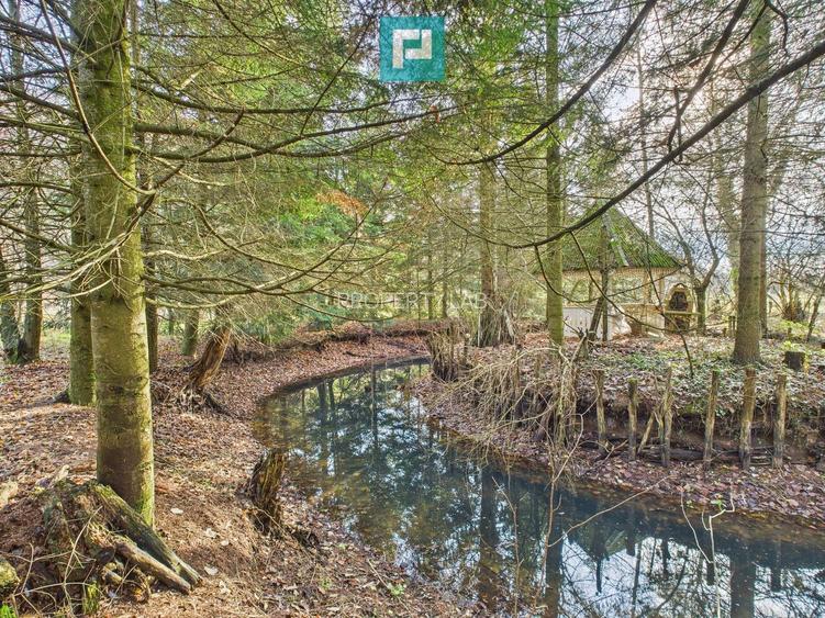 Casă P+E+M cu teren 8163 mp – Roșia Nouă (Petriș) - 11