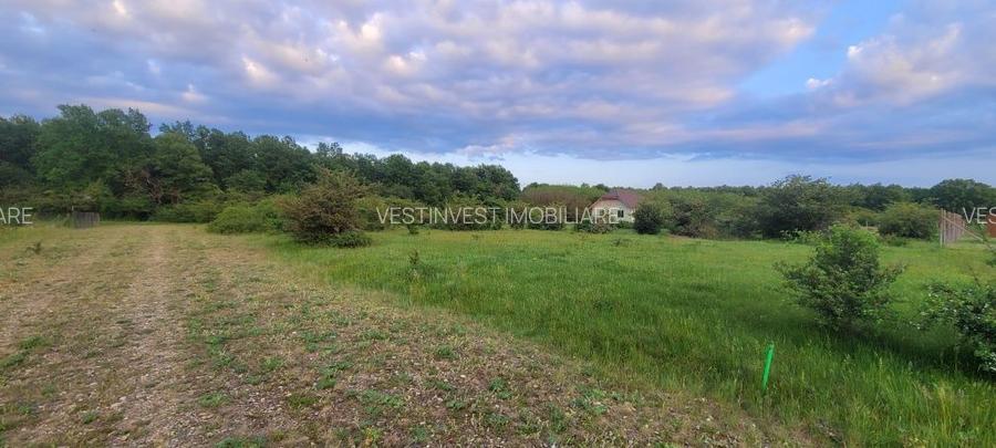 Teren intravilan in Gepiu - 3