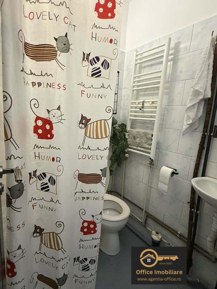 Dragos Voda apartament cu o camera, etaj 2, mobilat si utilat