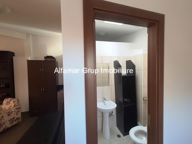 Ideal gradinita, afterschool, birouri- casa 9 camere Sebastian - 12