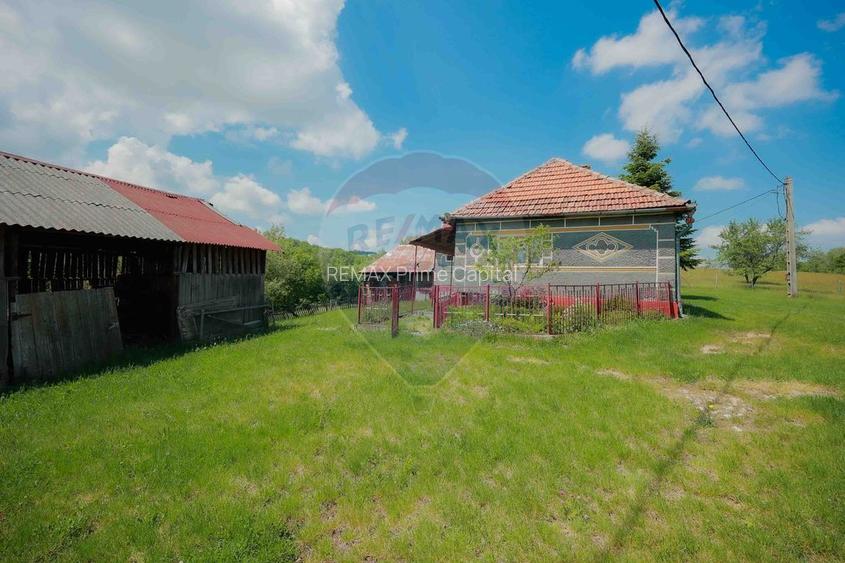 De vânzare casă cu teren și pădure 55706 mp - Șinteu, Valea Târnei - 10