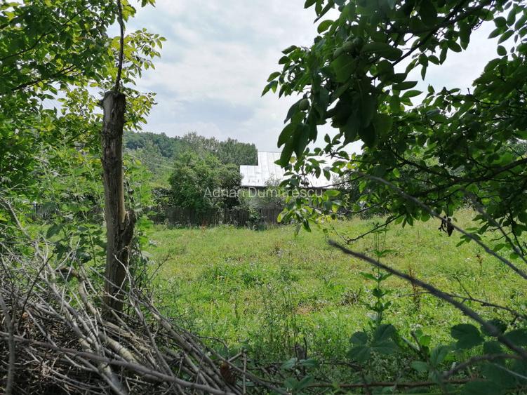 Curte 1512/3025mp , Bughea de Jos, 5 min Valeni PH - 14