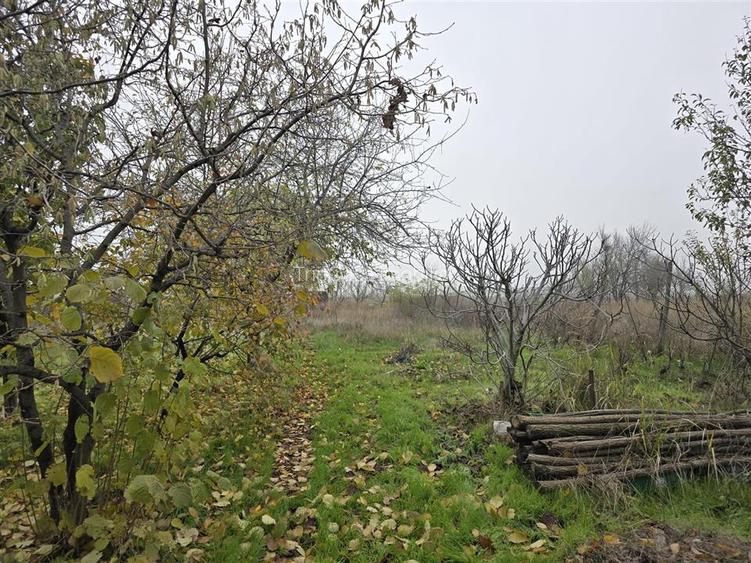 Csa la Gri si Hala - 5