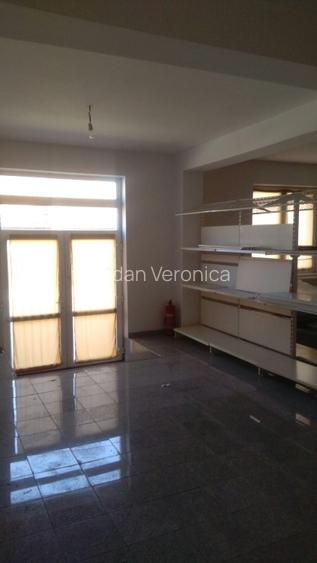 2 Case de vanzarerin Alba Iulia Centru langa Primarie 600 m2 - 15
