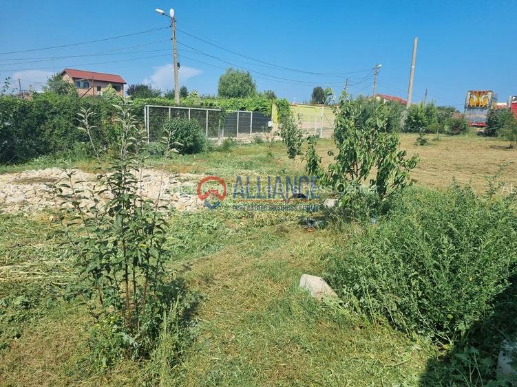 Teren 3417 mp, Poiana, intabulat, utilități complete - 4