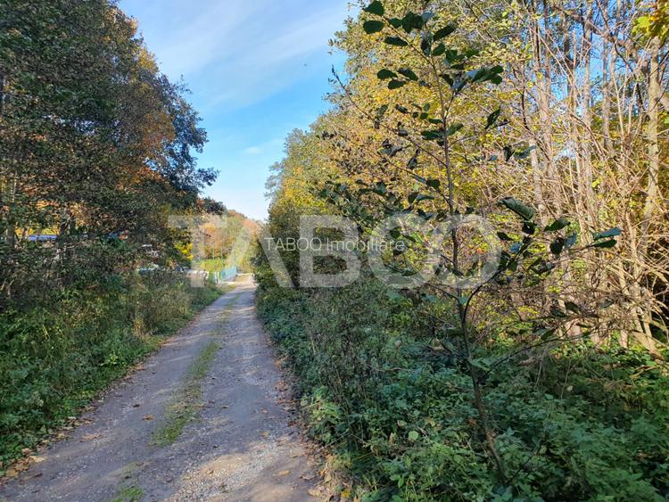 Teren in suprafata de 2990 mp cu vedere la munte zona turistica Lisa - 3