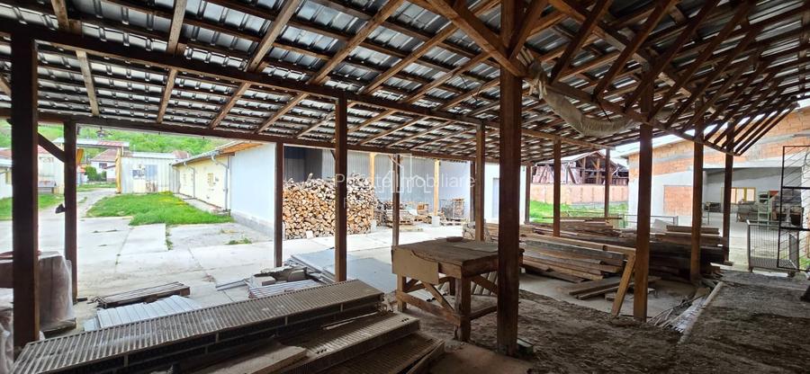 Teren + hale industriale 8785mp + casă–Oportunitate investiție / producție – - 38