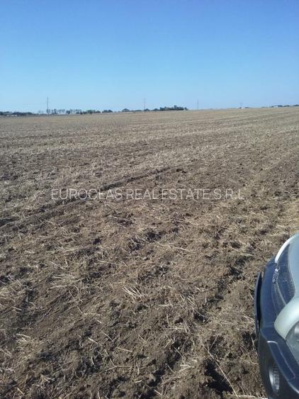 Exclusiv! Teren extravilan 10.000 mp - Cumpana - Malul canalului (Cod E3) - 4