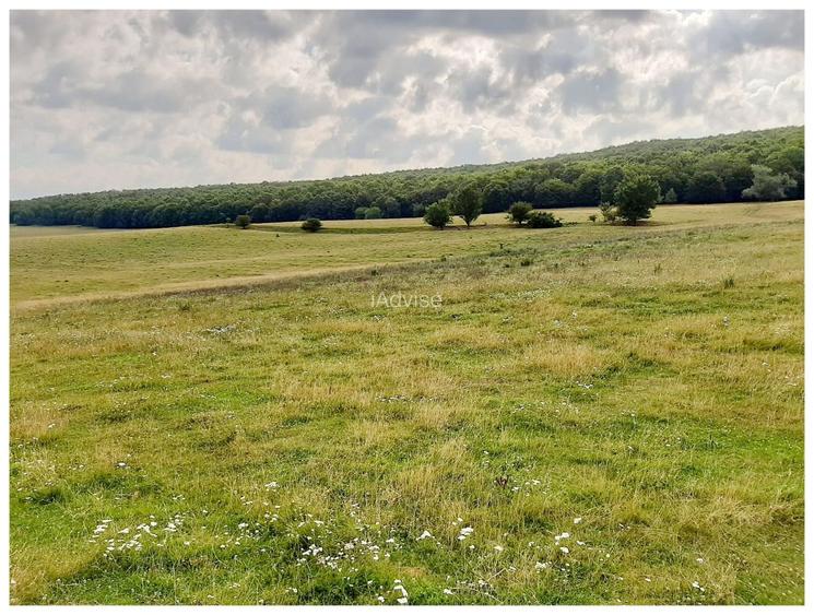 Teren Sercaia  250 ha - 12