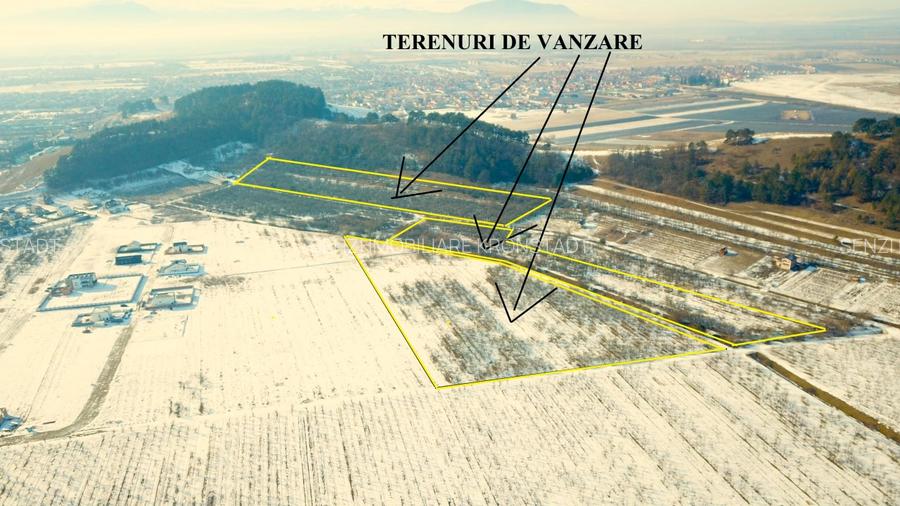 Terenuri in Livada Noua Sanpetru langa Dealul Lempes - 4